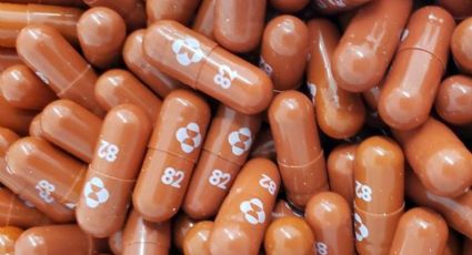 ¡Buenas noticias! FDA confirma eficacia de pastilla contra Covid-19 de Merck; PELIGROSA para estas personas