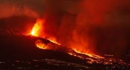 Drones alimentan a lomitos abandonados en la erupción del VOLCÁN en La Palma