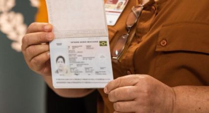 Pasaporte electrónico: ¿Cómo sacar la Carta Médica o de estudios de un menor de edad?
