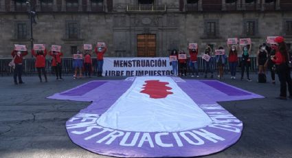 Menstruación digna: Senado aprueba eliminar el 16% del IVA en tampones y toallas sanitarias