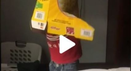 TikTok: Niño se atora en una caja de cereal y su video se hace viral (VIDEO)