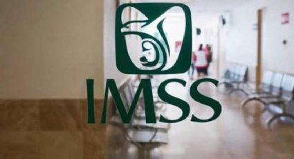 IMSS para trabajadores independientes: así puedes afiliarte desde 40 pesos; REQUISITOS y beneficios