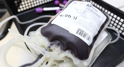 Donar SANGRE: ¿Puedo realizar una transfusión tras recibir la vacuna vs Covid-19?