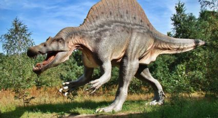 Hombre muere asfixiado por una estatua de DINOSAURIO; quedó atorado