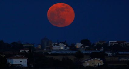 ¿Te perdiste de la Luna de Sangre? Aquí te decimos en qué fecha habrá otra