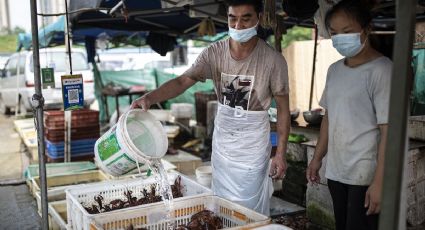 Coronavirus. Así pudo haberse originado la pandemia en el mercado de Wuhan