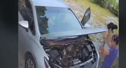 ¡Increíble! Gatitos se esconden en el MOTOR de un carro y así los descubrieron: VIDEO VIRAL