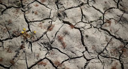 Cambio climático: los estados de EU que experimentan preocupantes SEQUÍAS en 2021
