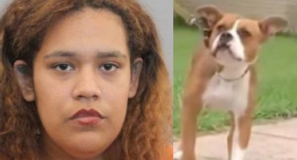 Mamá intenta matar a perrito y termina por DISPARARLE a su HIJO de 5 años: VIDEO