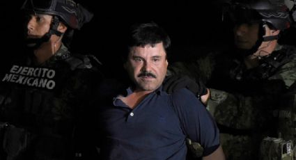 ¡De NO creerse! Joaquín 'El Chapo' Guzmán terminó en la cárcel por 'culpa' de un MONO