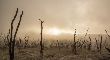 Sequía en Estados Unidos se agrava gracias a cúpula de CALOR