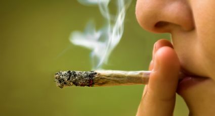 Demócratas proponen despenalización federal de la marihuana en EU
