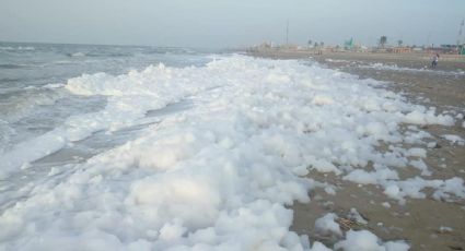 Aparece MISTERIOSA espuma blanca en playas del Golfo de México: FOTOS