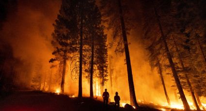 ¡EU arde! Reportan 91 INCENDIOS forestales; ola de CALOR devasta todo el país