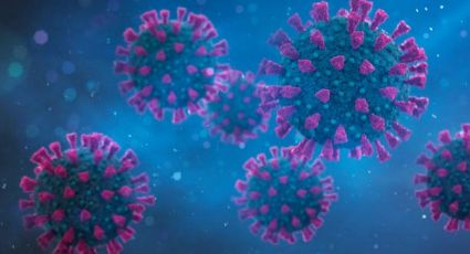 ¿Cómo se originó el coronavirus? Joe Biden recibe informe de inteligencia sobre el inicio del virus