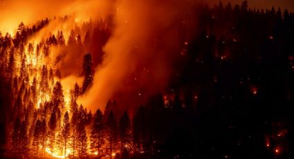 California es zona de DESASTRE por incendios forestales, decreta Joe Biden