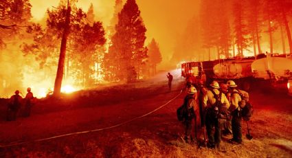 Científicos de Harvard relacionan contagios por COVID-19 con incendios forestales en EU