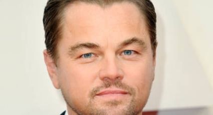 Así puedes ayudar a Leonardo DiCaprio para proteger a la Vaquita Marina