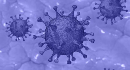 Próxima pandemia será más MORTAL o contagiosa, advierte creadora de VACUNA va Covid-19