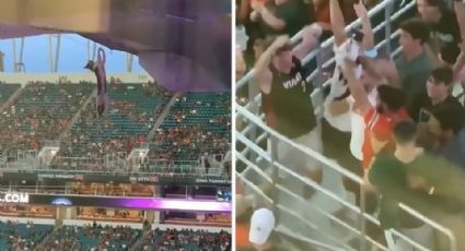 ¡Dramático! Gatito cae desde lo alto de un estadio le salvan la VIDA antes de IMPACTAR con el piso: VIDEO