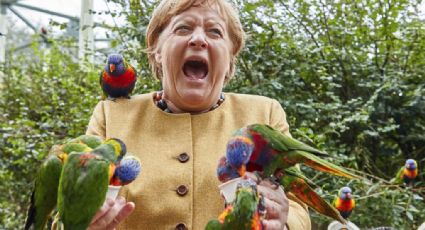 Angela Merkel pasa doloroso momento con loros durante último mitin antes de su retiro