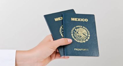 Pasaporte electrónico: TODOS los datos que incluirán en el nuevo documento; acá la lista definitiva