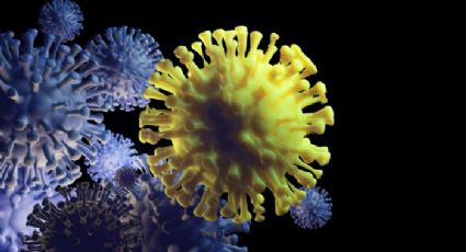 OMS advierte que Ómicron no será última variante del coronavirus