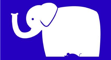 TEST VISUAL: ¿Elefante o ratón? Dinos qué ves primero y te decimos más sobre tu personalidad