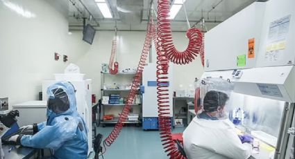 Condenan a científicos de la Universidad de Boston por crear cepa letal de Covid en laboratorio