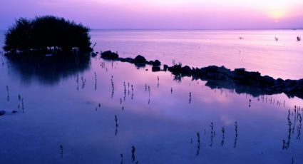 La Isla Púrpura, la maravilla natural de Qatar que está a solo una hora de Doha