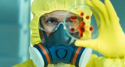 "Virus zombie" hallado por científicos es reactivado, ¿puede ser una amenaza?
