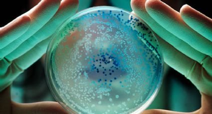 OMS advierte por la creciente resistencia de bacterias a medicamentos