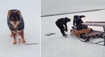 ¡Todo un héroe! Perro salva la vida a su dueño que había caído en un río congelado