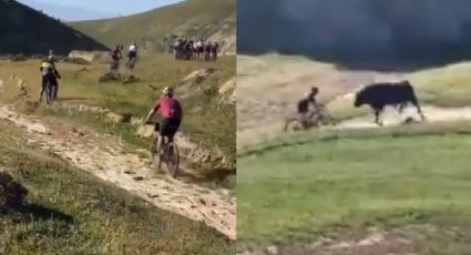 Ciclistas sufren FATAL accidente después de que TORO los embistiera: VIDEO