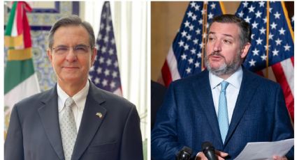 ¿Lo hizo enojar? Embajador mexicano le dice a Ted Cruz que se ponga a estudiar; esto pasó