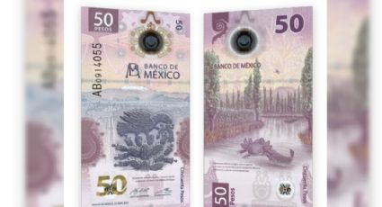 ¡De locos! Billete de 50 pesos del ajolote se vende hasta en 350 mil en internet