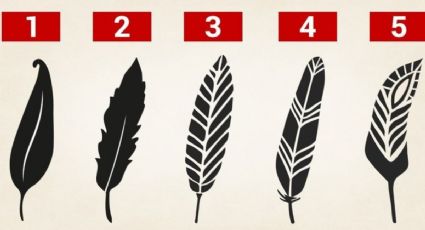 TEST VISUAL: escoge una pluma y te decimos lo que tu personalidad esconde