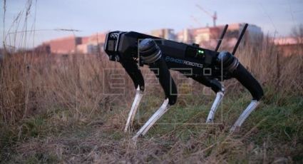 ¿Perros robot perseguirán a MIGRANTES? Así ayudarán a los agentes de la Patrulla Fronteriza