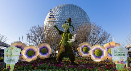 ¿Nuevo parque de Disney en Texas? Le hacen atractiva oferta a la empresa para abrir otro complejo