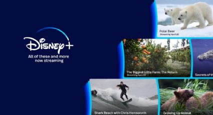 ¿Disney+ sigue los pasos de Netflix? Investigará cuentas compartidas y podría cancelarlas