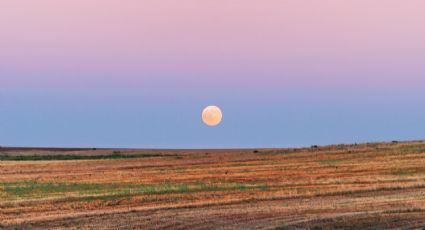 LUNA ROSA 2022: Cuándo es y dónde podrás verla a simple vista