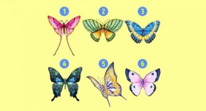 Test de PERSONALIDAD: ¿Cuál es tu camino hacia el éxito? Elige una mariposa y descúbrelo