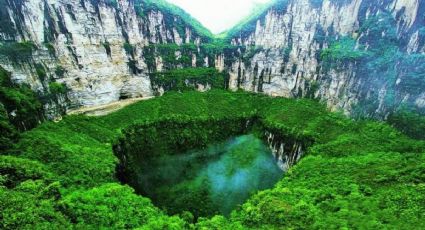 ¡Otro mundo! Descubren bosque milenario al interior de una fosa en China con especies desconocidas