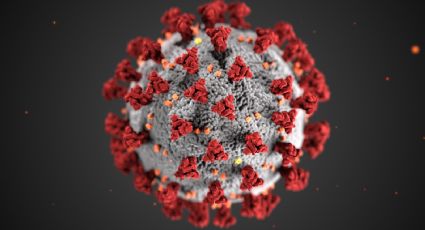 ¿Otra pandemia? Reino Unido alerta por casos de viruela de mono; podría haber infección comunitaria