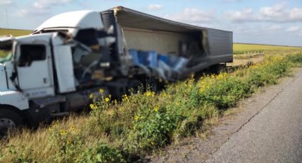 ¡Escalofriante! Tráiler volcado rumbo a Texas llevaba 4 toneladas de perros y gatos MUERTOS