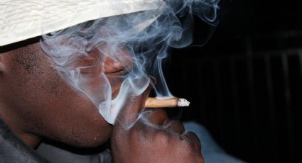 EU emite alerta por tipo de marihuana más adictiva para adolescentes