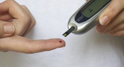 ¿Cómo prevenir la diabetes? Harvard revela la DIETA que debes seguir para reducir el riesgo