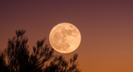 Luna llena de julio 2022: Los tres signos más beneficiados en el AMOR por este fenómeno