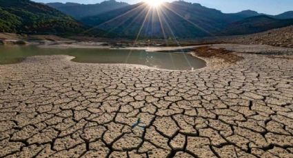 Conagua declara emergencia por sequía en México; ¿qué acciones tomaría el organismo?