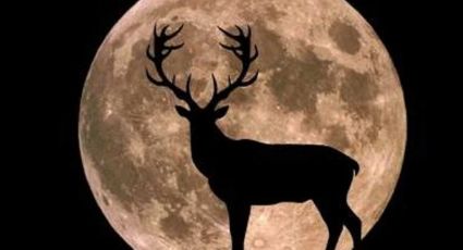 Luna llena de julio 2022: así AFECTA la Superluna de Ciervo a cada signo del zodiaco